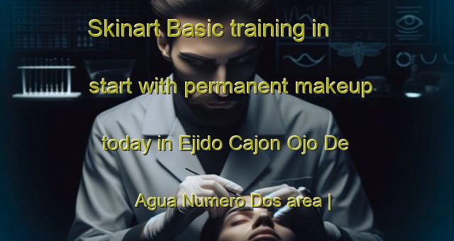 Skinart Basic training in start with permanent makeup today in Ejido Cajon Ojo De Agua Numero Dos area | PermanentmakeupTraining | PermanentmakeupClasses | SkinartTraining-Mexico